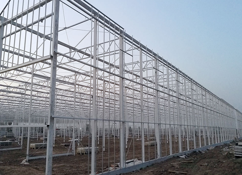 ���շ�̨�ִ�ũҵ�Ƽ�ʾ��԰��Ŀ