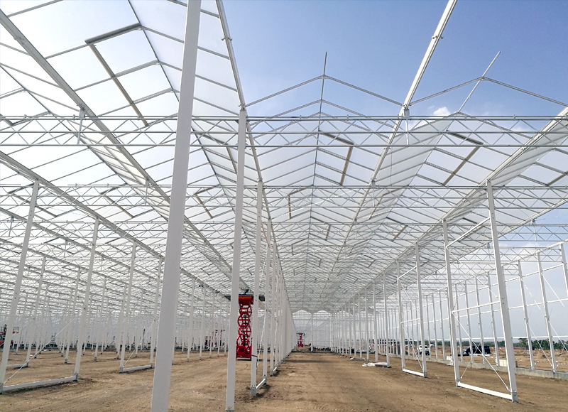 ���ɹ������첼�긣�ִ���ҵ԰