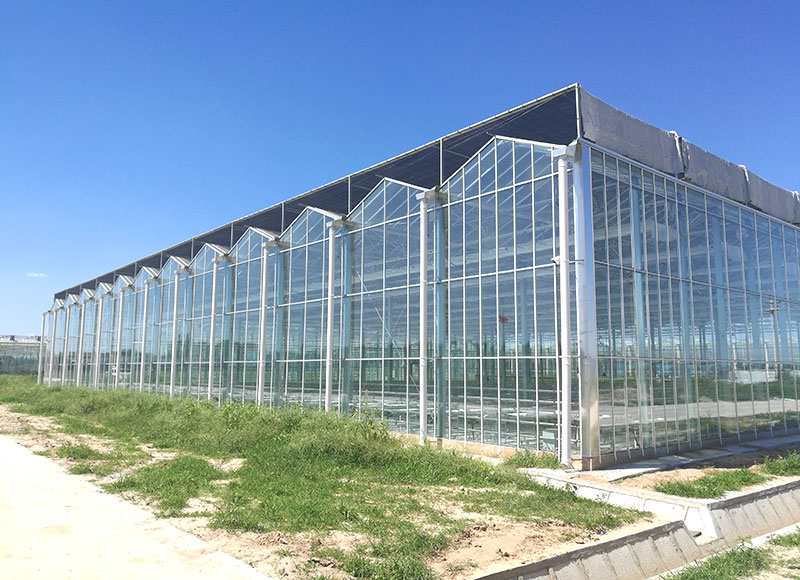 ����Ƽ����칵����������Ŀ