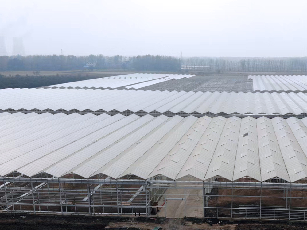 ���շ�̨�ִ�ũҵ�Ƽ�ʾ��԰��Ŀ