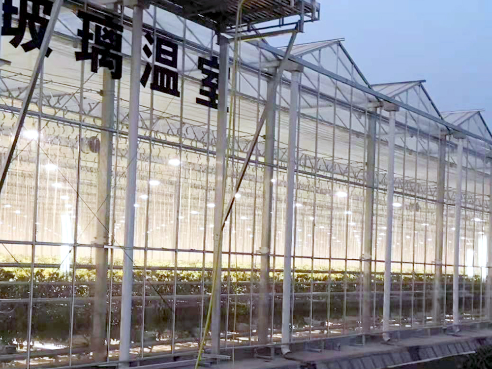 ɽ��Ϋ������������Ŀ