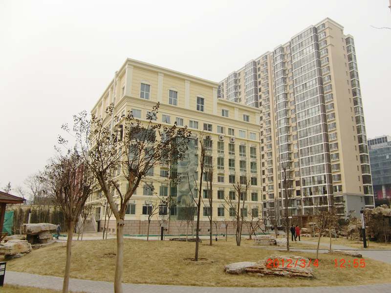 �ɹ�����