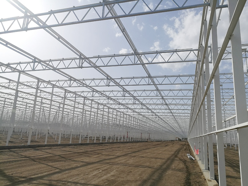 ���ɹ������첼�긣�ִ���ҵ԰