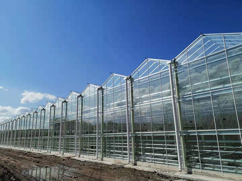 �����޳�����������Ŀ