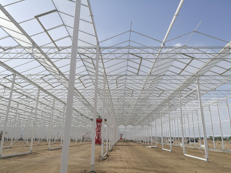 ���ɹ������첼�긣�ִ���ҵ԰