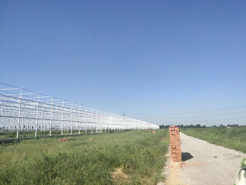 ɽ����Ӫ���칵����������Ŀ