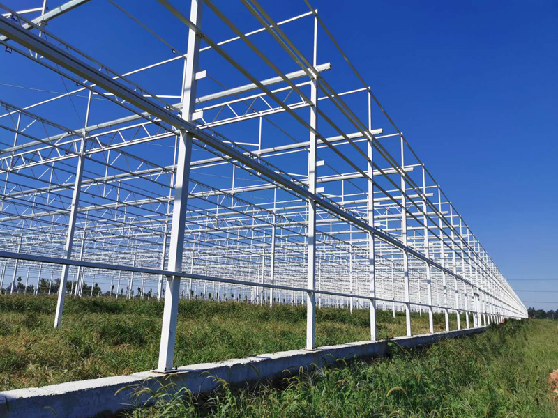 ɽ����Ӫ���칵����������Ŀ