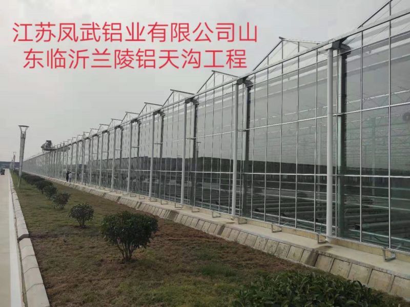 ɽ����������������Ŀ