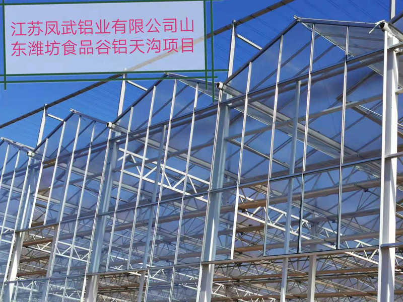 ɽ��Ϋ������������Ŀ