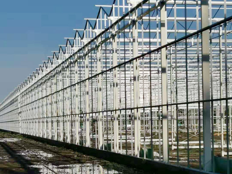 �½���������������Ŀ