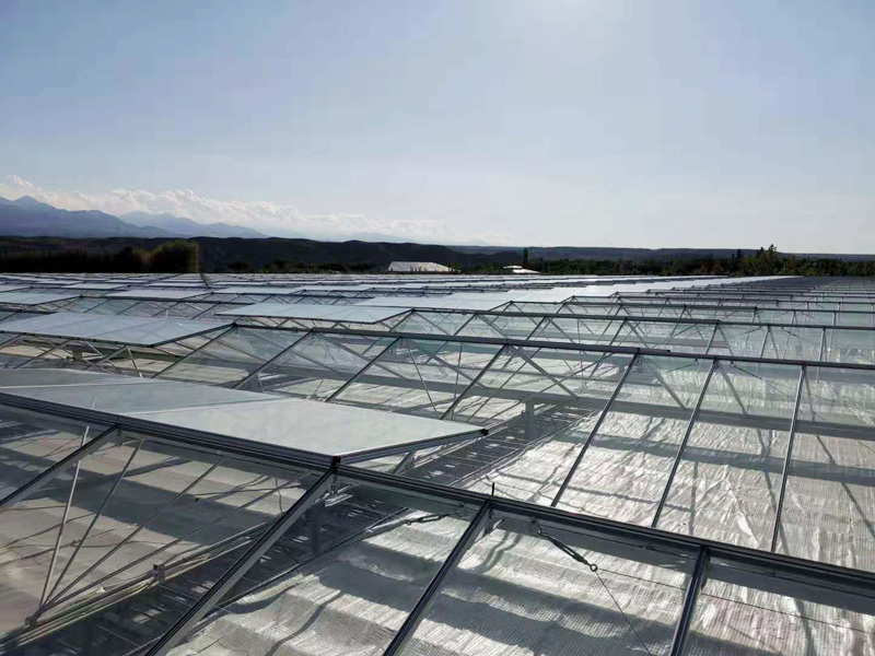 �½��������칵����������Ŀ